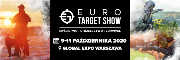 Podstawowy (pod aktualnościami)