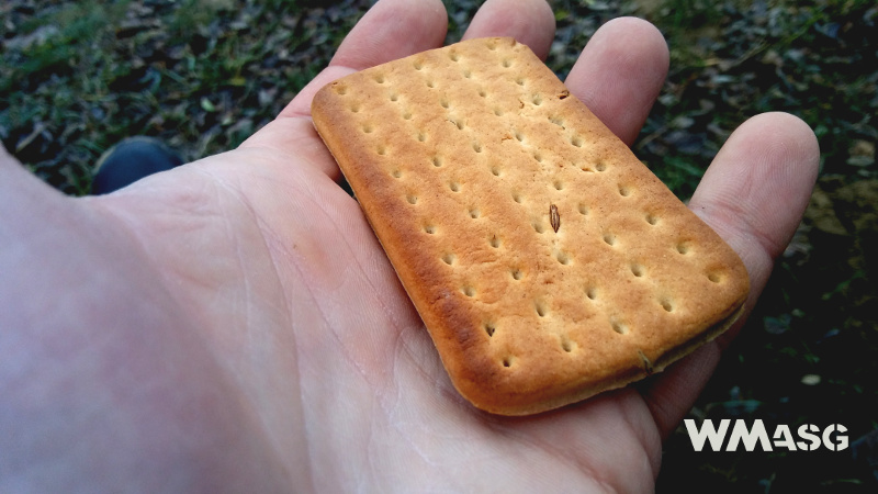 Wielki Pojedynek: MRE z USA vs. SR z Polski