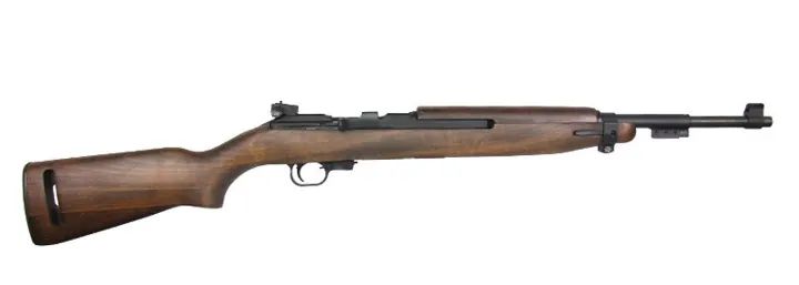 Chiappa M1-22