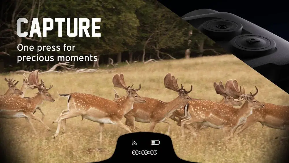 Steiner eDiscovery 10x42