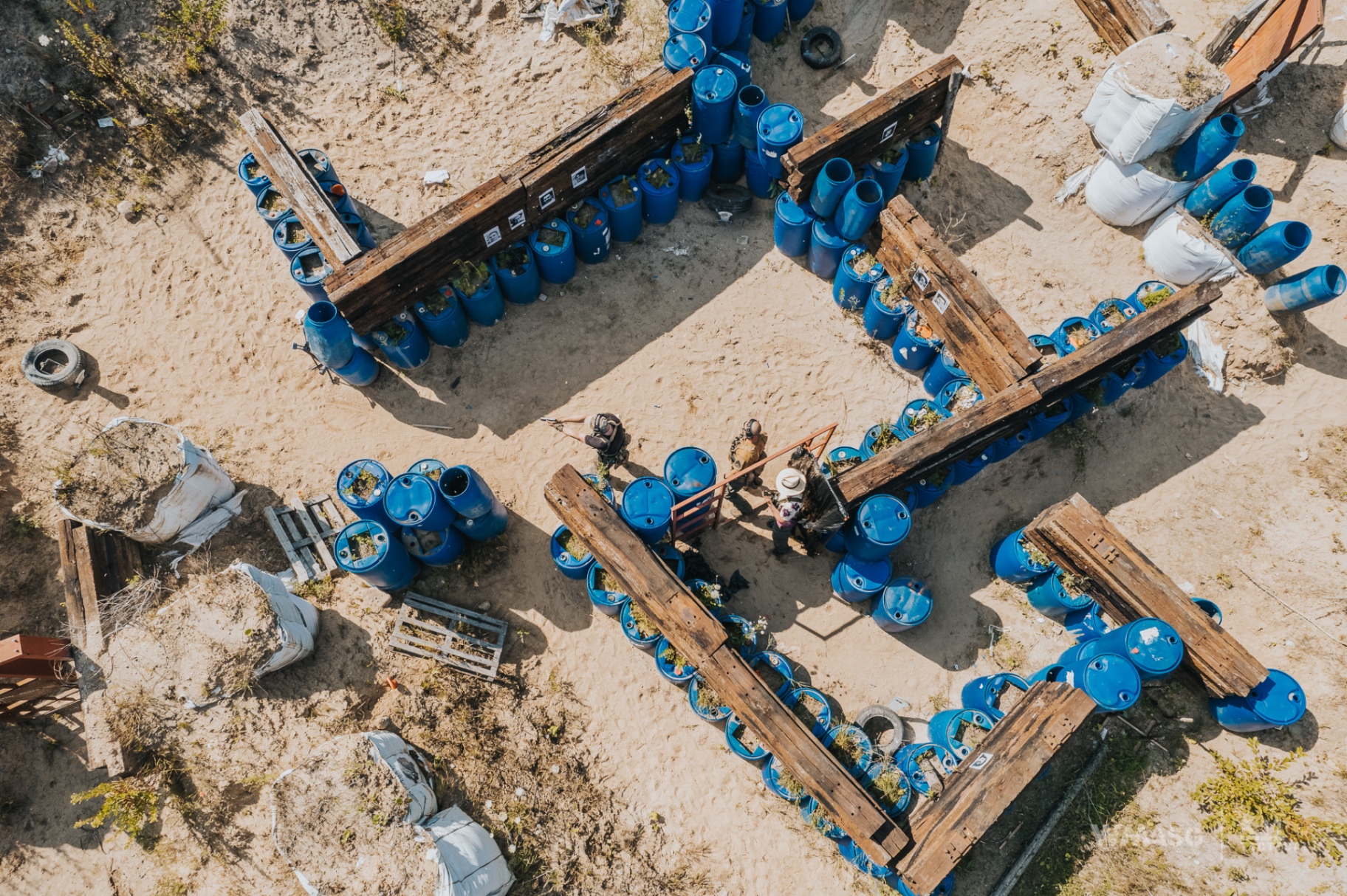 Lekka Piechota IX (termin II) (część II)