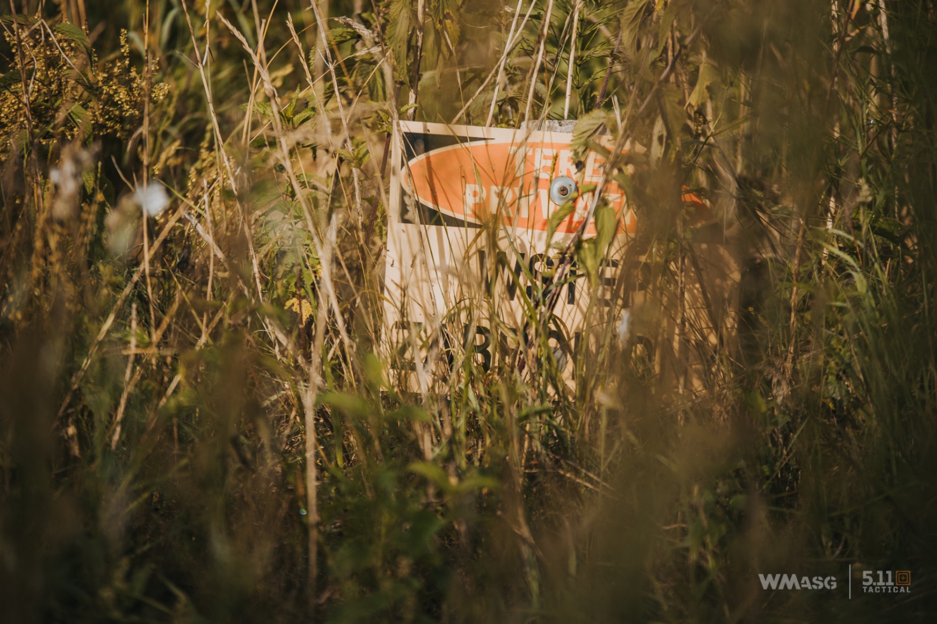 Lekka Piechota IX (termin II) (część II)