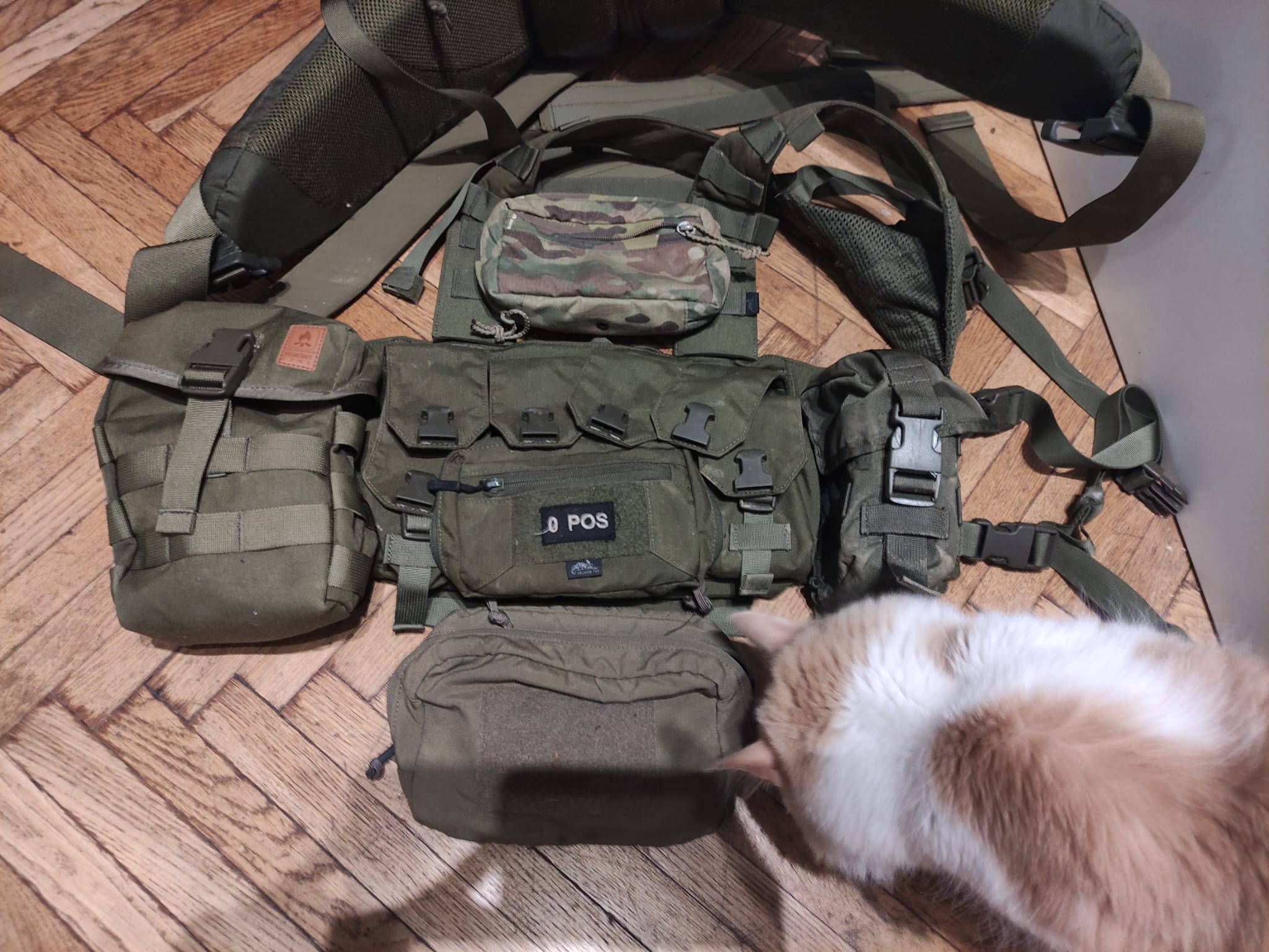 Helikon Guardian Recce Chest Rig OD + dodatki