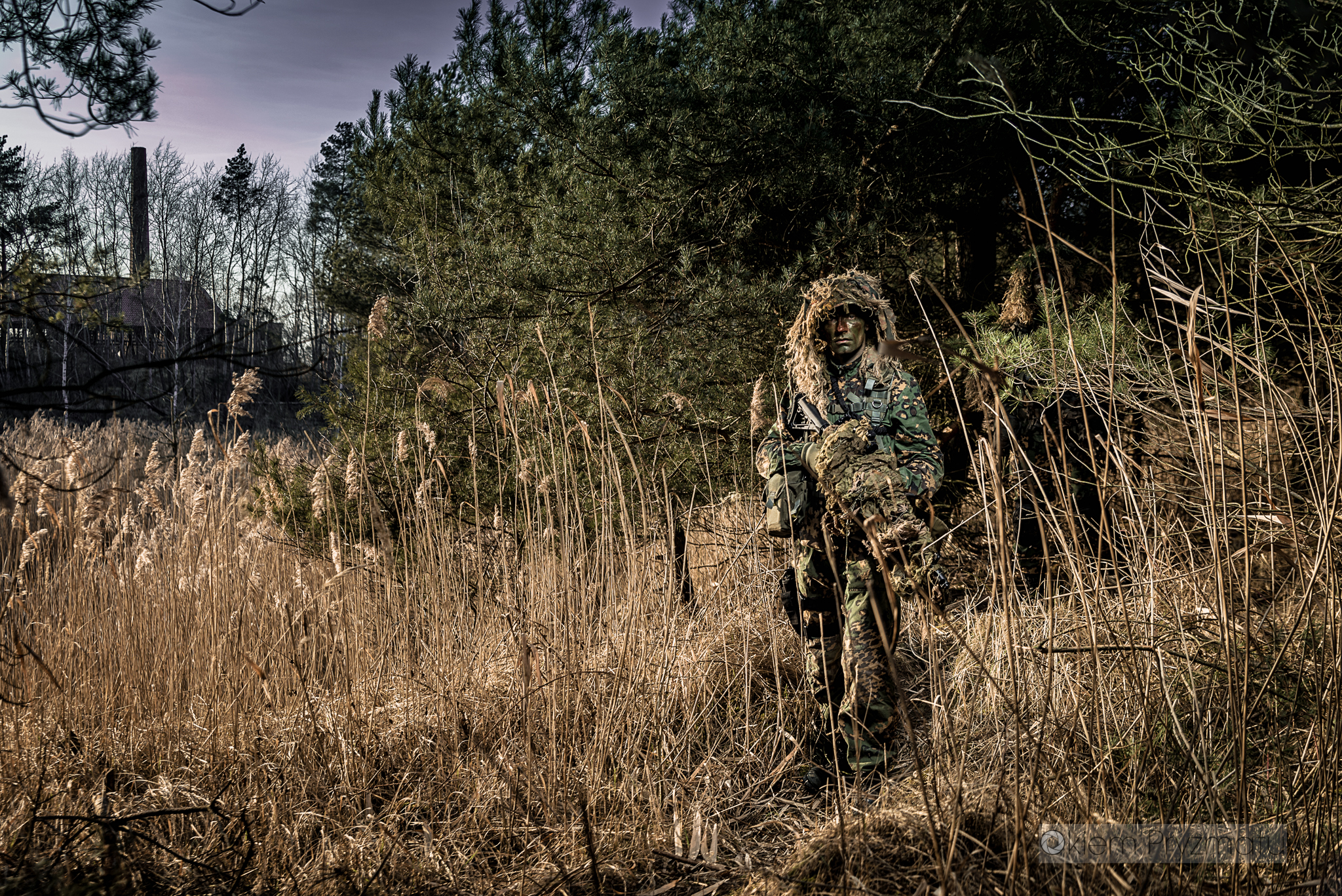 Indywidualne sesje wizerunkowe - Żubry Gostyń