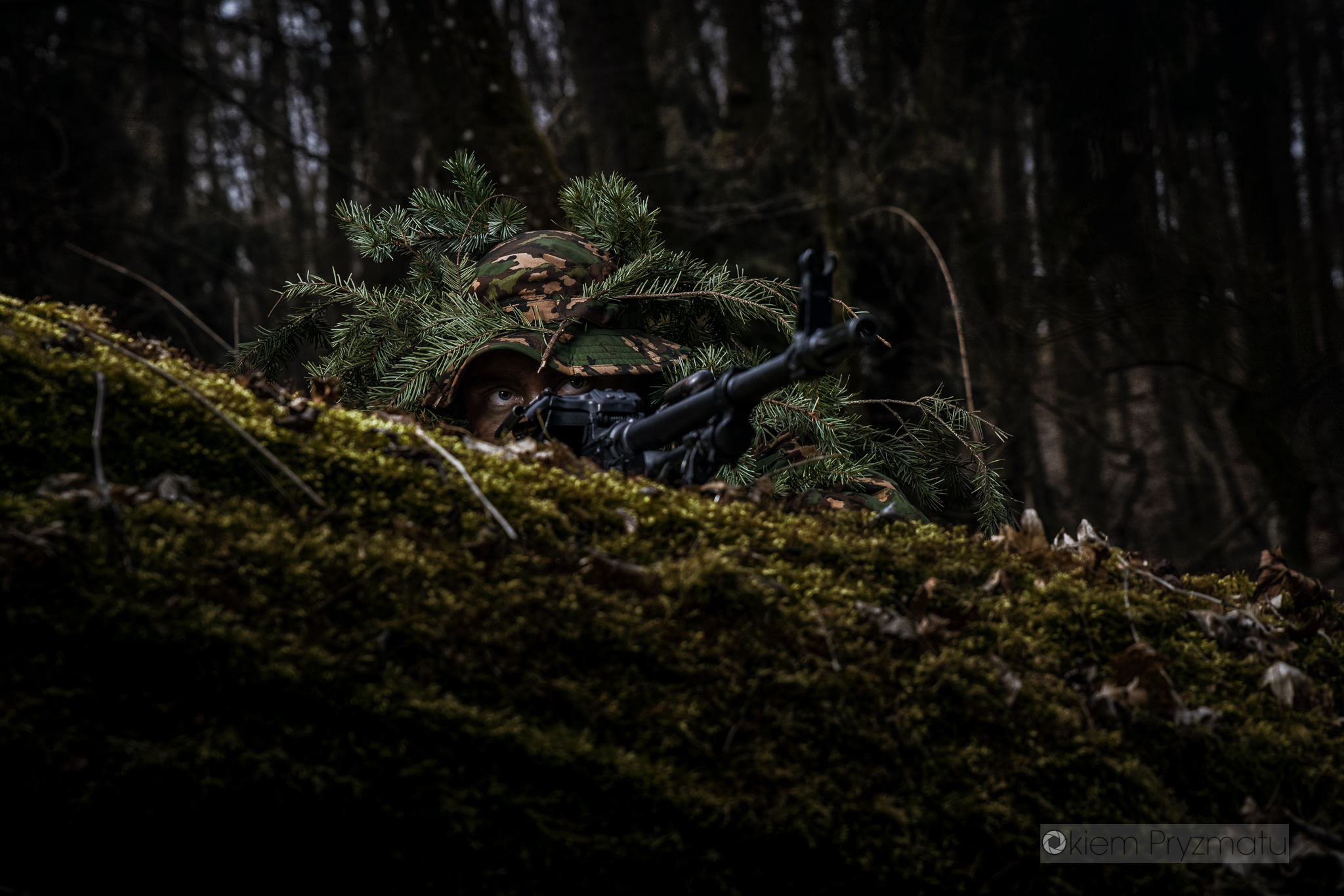 Indywidualne sesje wizerunkowe - Żubry Gostyń