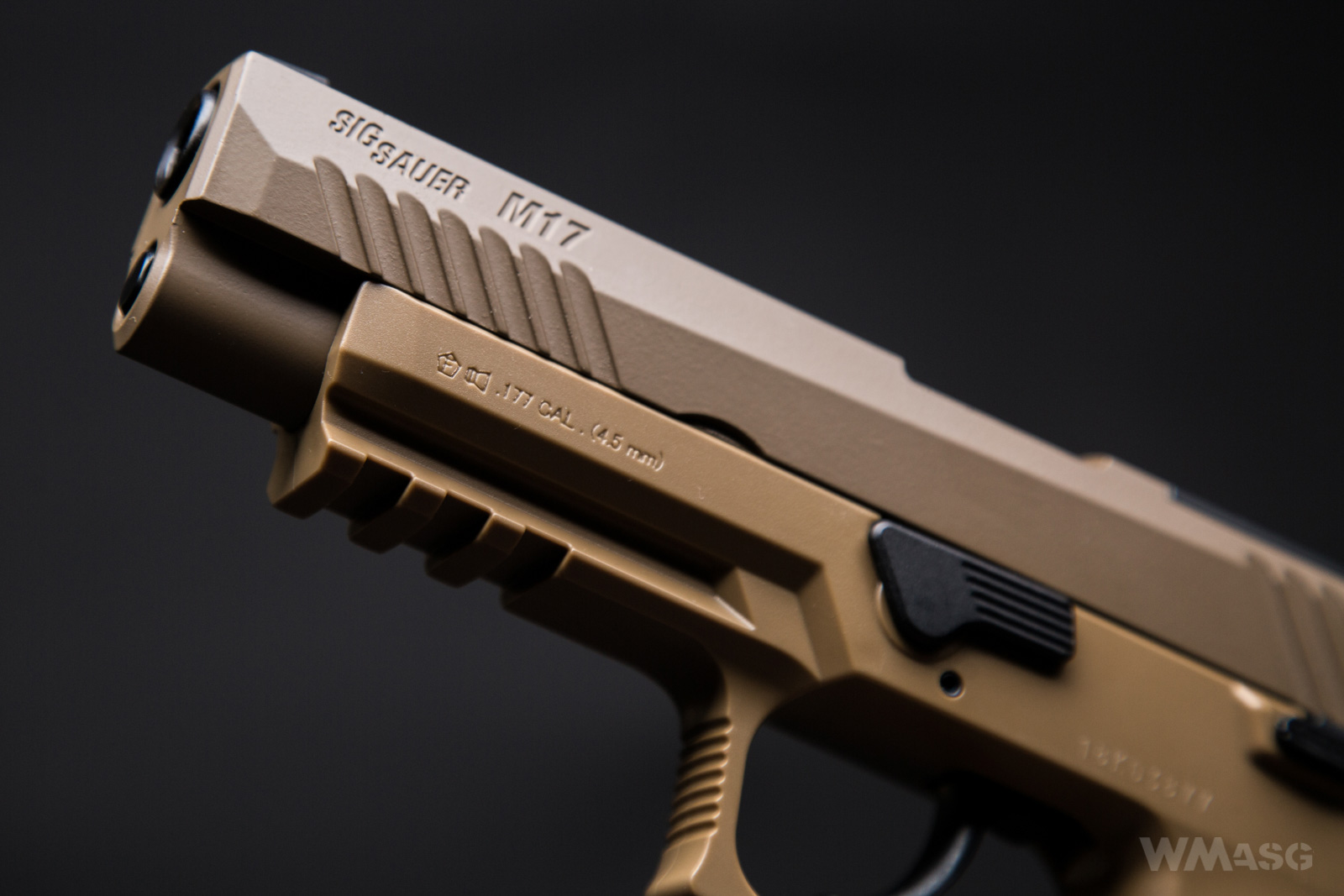 SIG SAUER M17 CO2