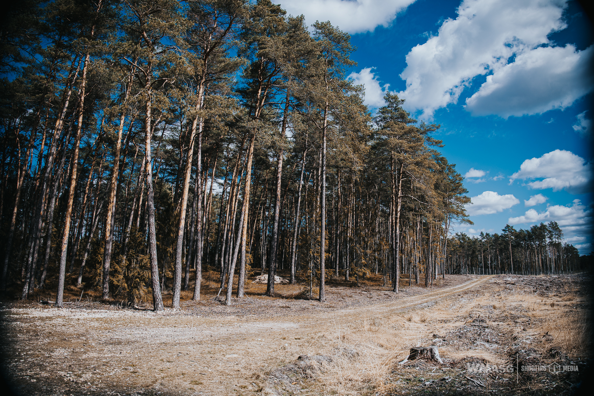 Wyścig Szczurów VI (fotorelacja)