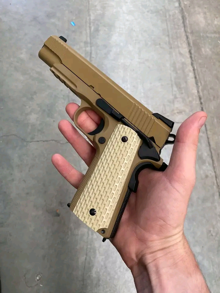 1911 kimber