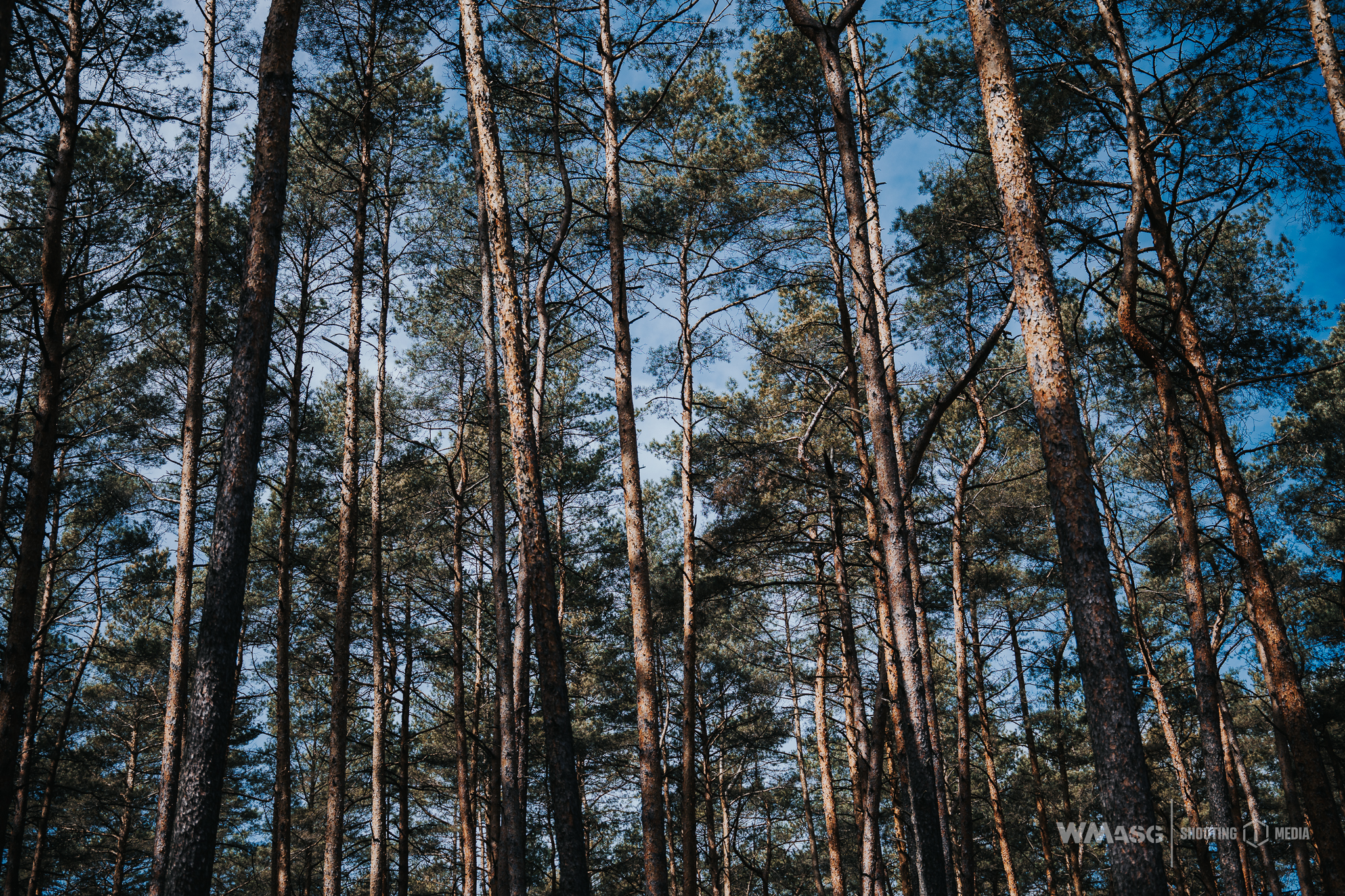 Wyścig Szczurów VI (fotorelacja)