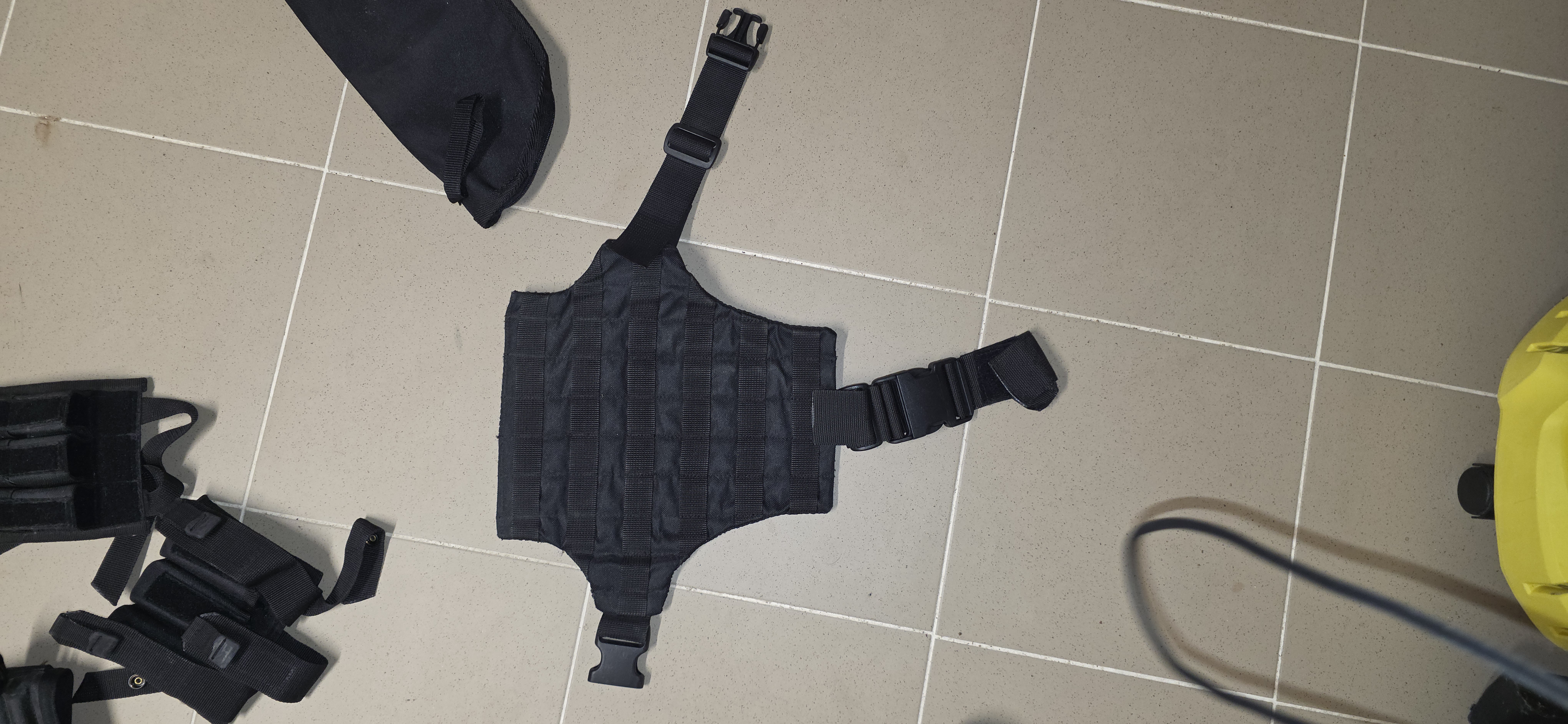 Zestaw Tac-Vest / Omega (Blackhawk) + panel udowy + ładownice