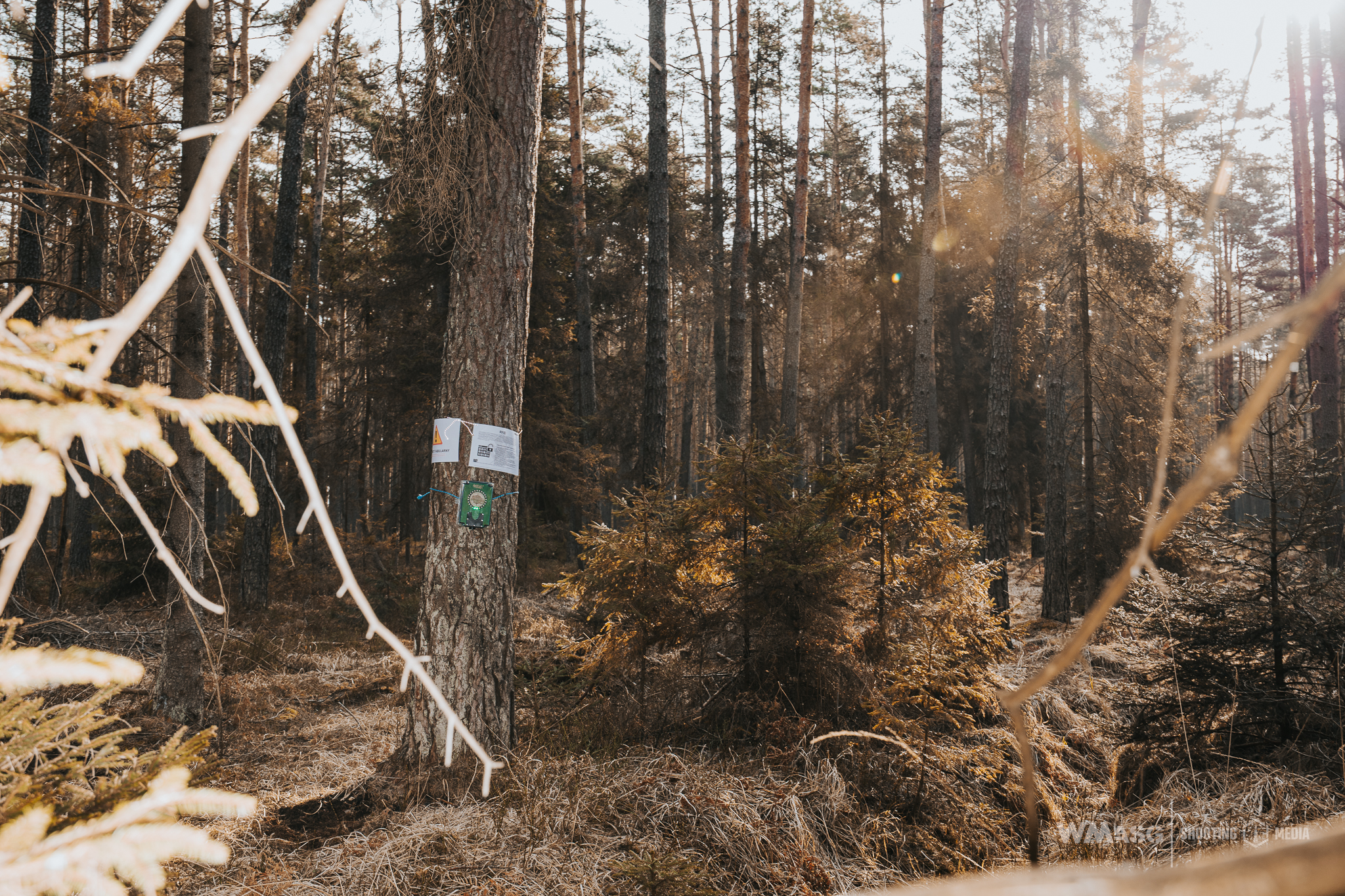 Wyścig Szczurów VI (fotorelacja)