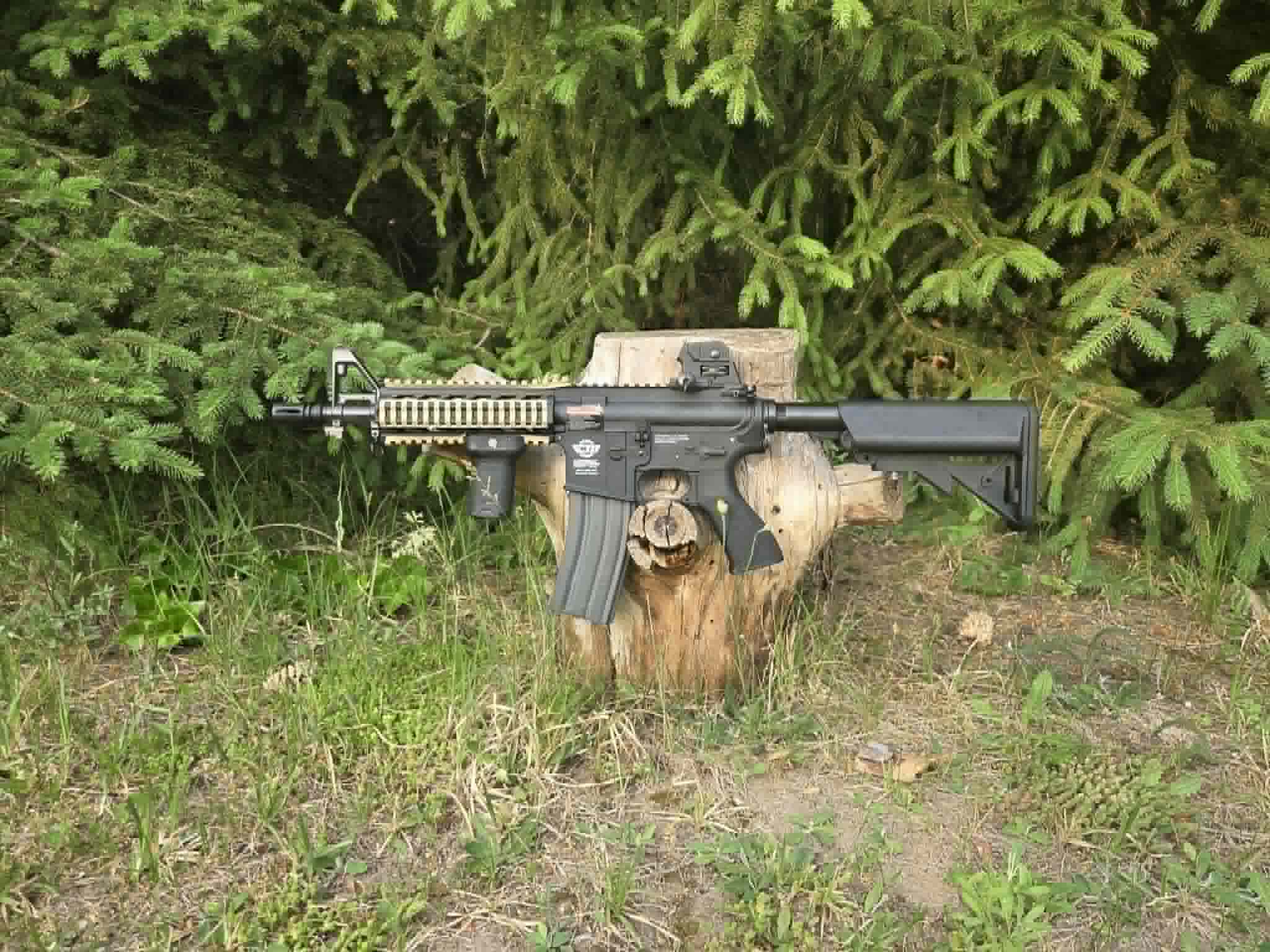 G&G cm16 raider perun