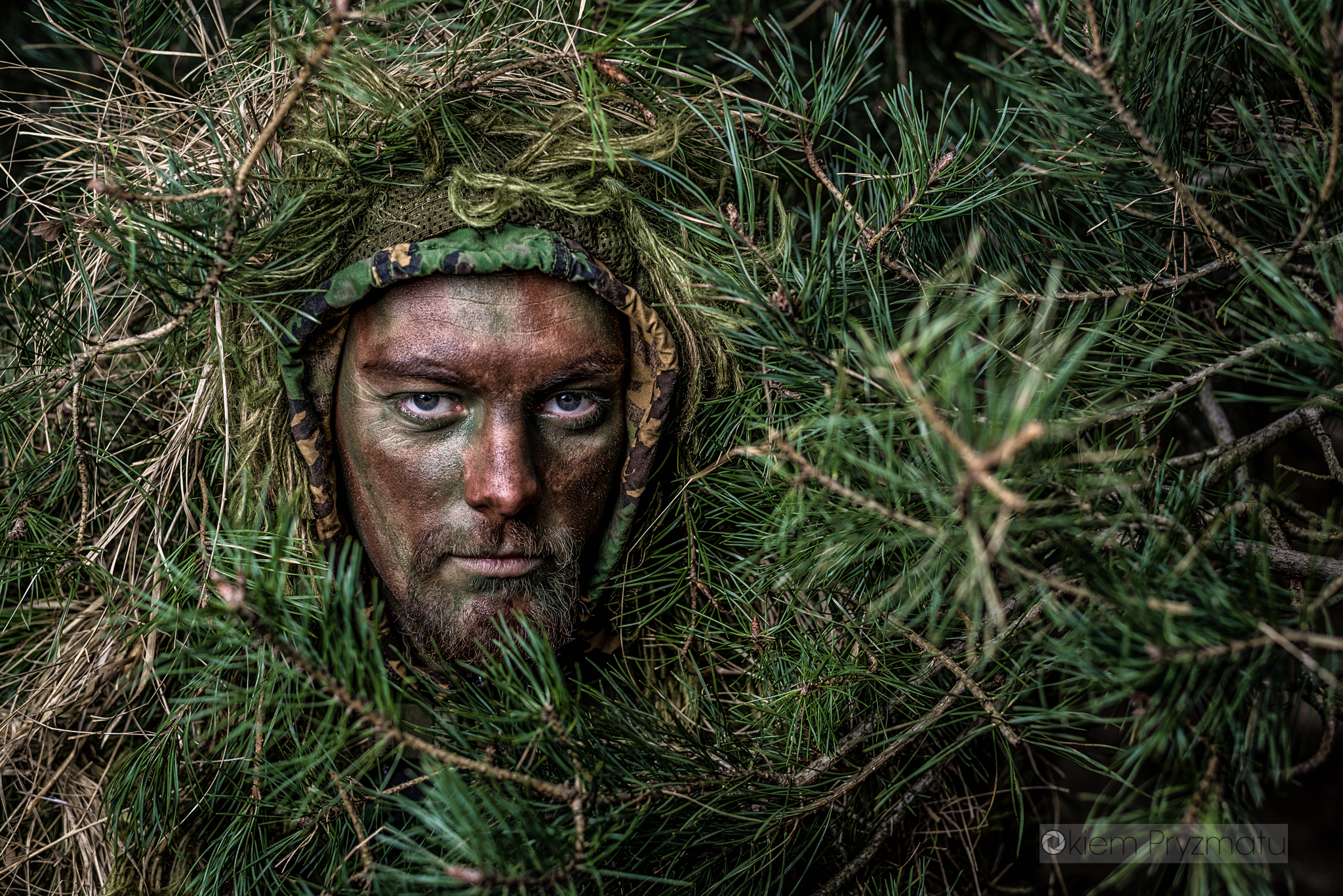 Indywidualne sesje wizerunkowe - Żubry Gostyń