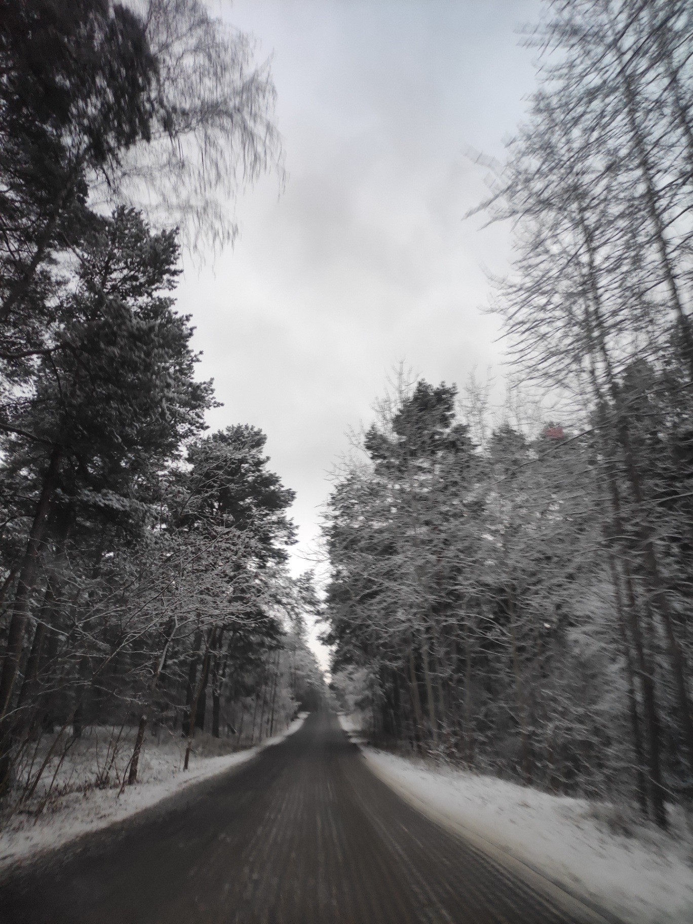 bastogne 1944