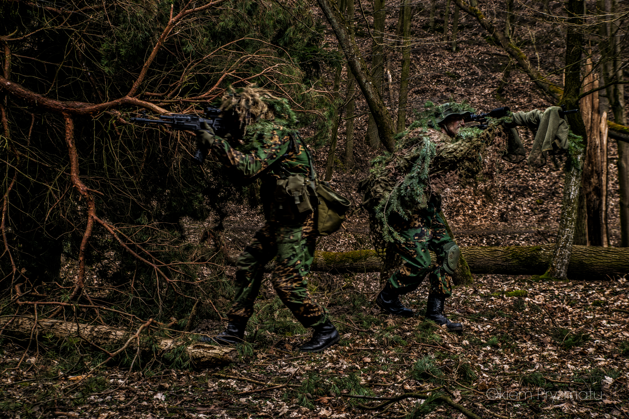 Indywidualne sesje wizerunkowe - Żubry Gostyń