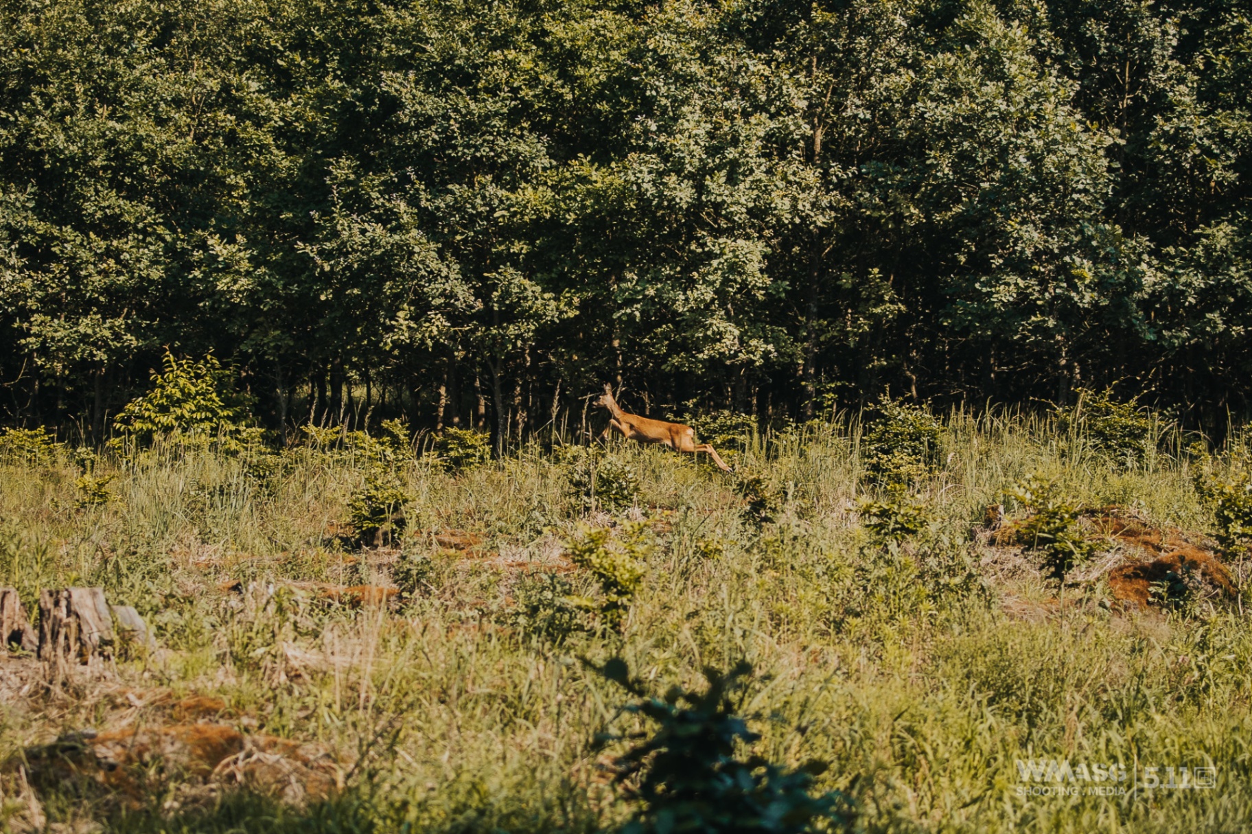 Zawody Recon Squad S.A.R. 2024