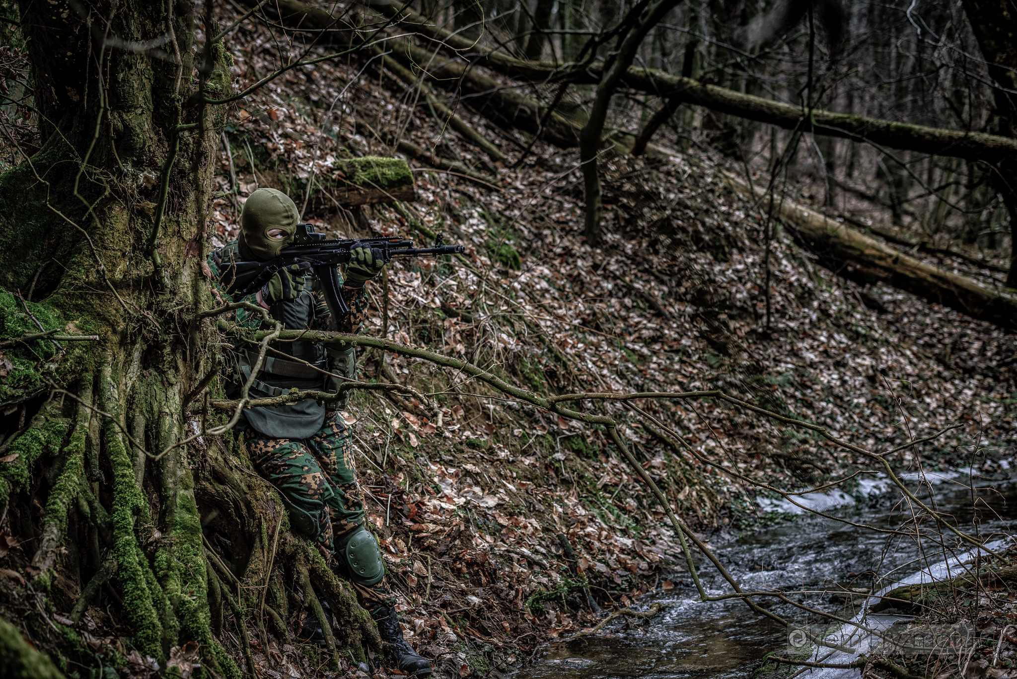 Indywidualne sesje wizerunkowe - Żubry Gostyń