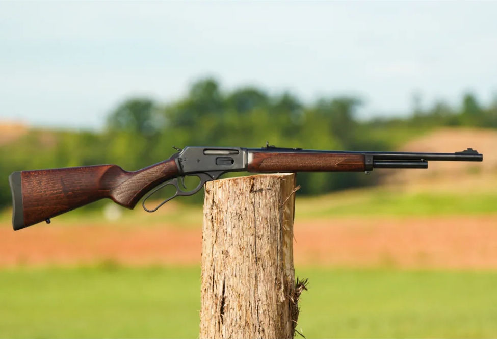 A new proposal for western weapons enthusiasts