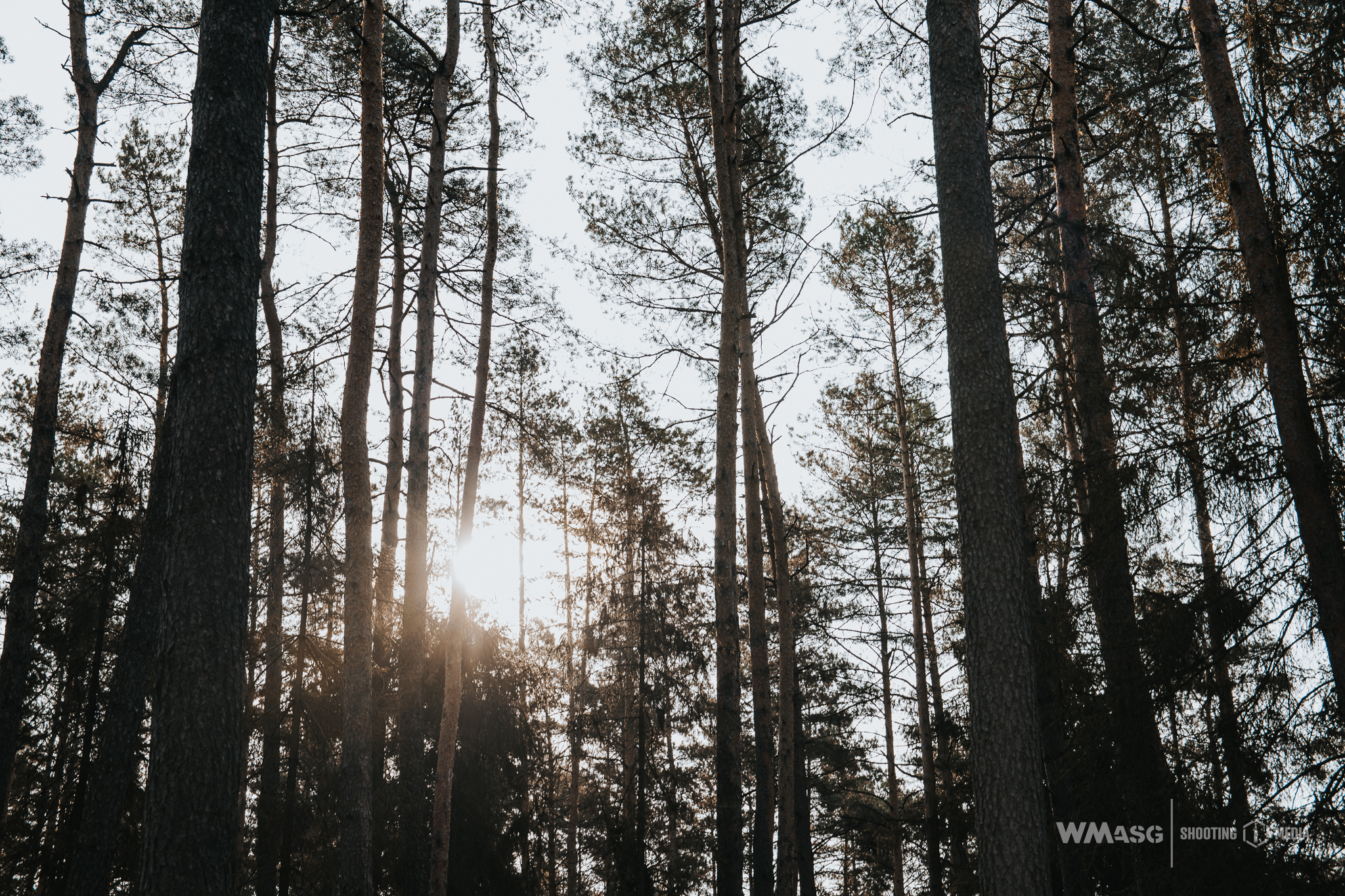 Wyścig Szczurów VI (fotorelacja)