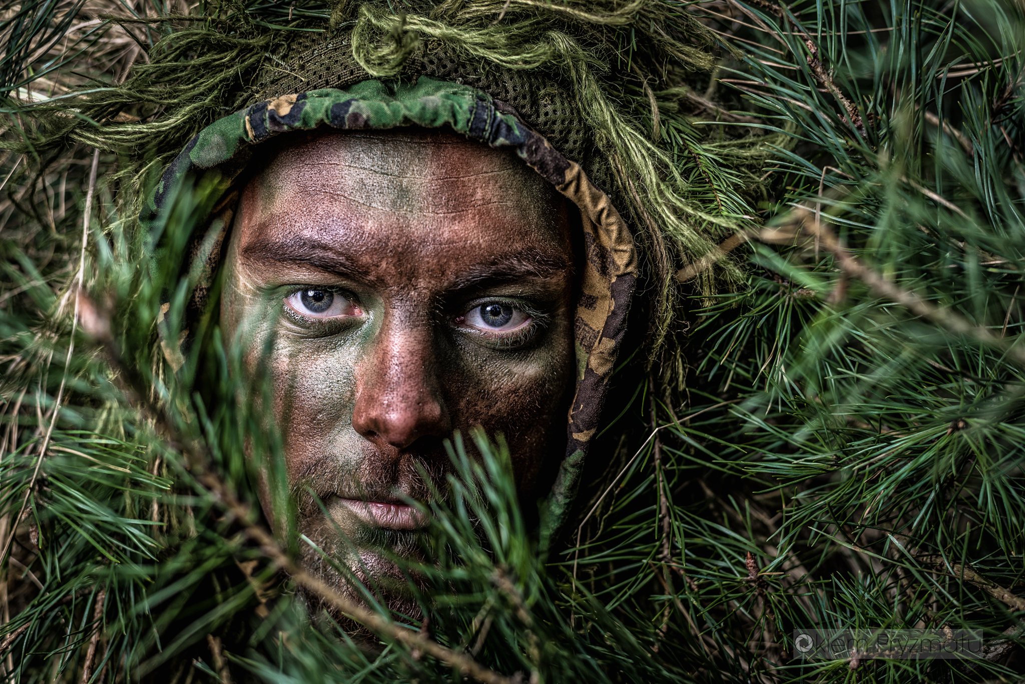 Indywidualne sesje wizerunkowe - Żubry Gostyń