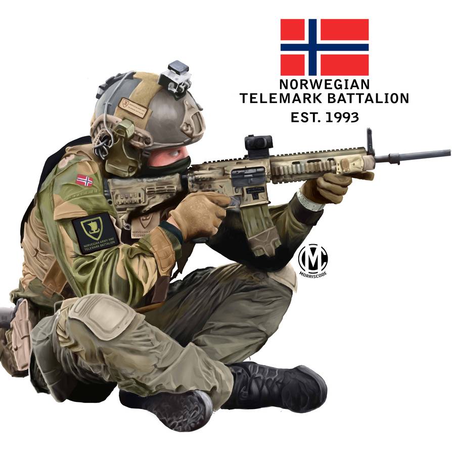 Projekt norweski