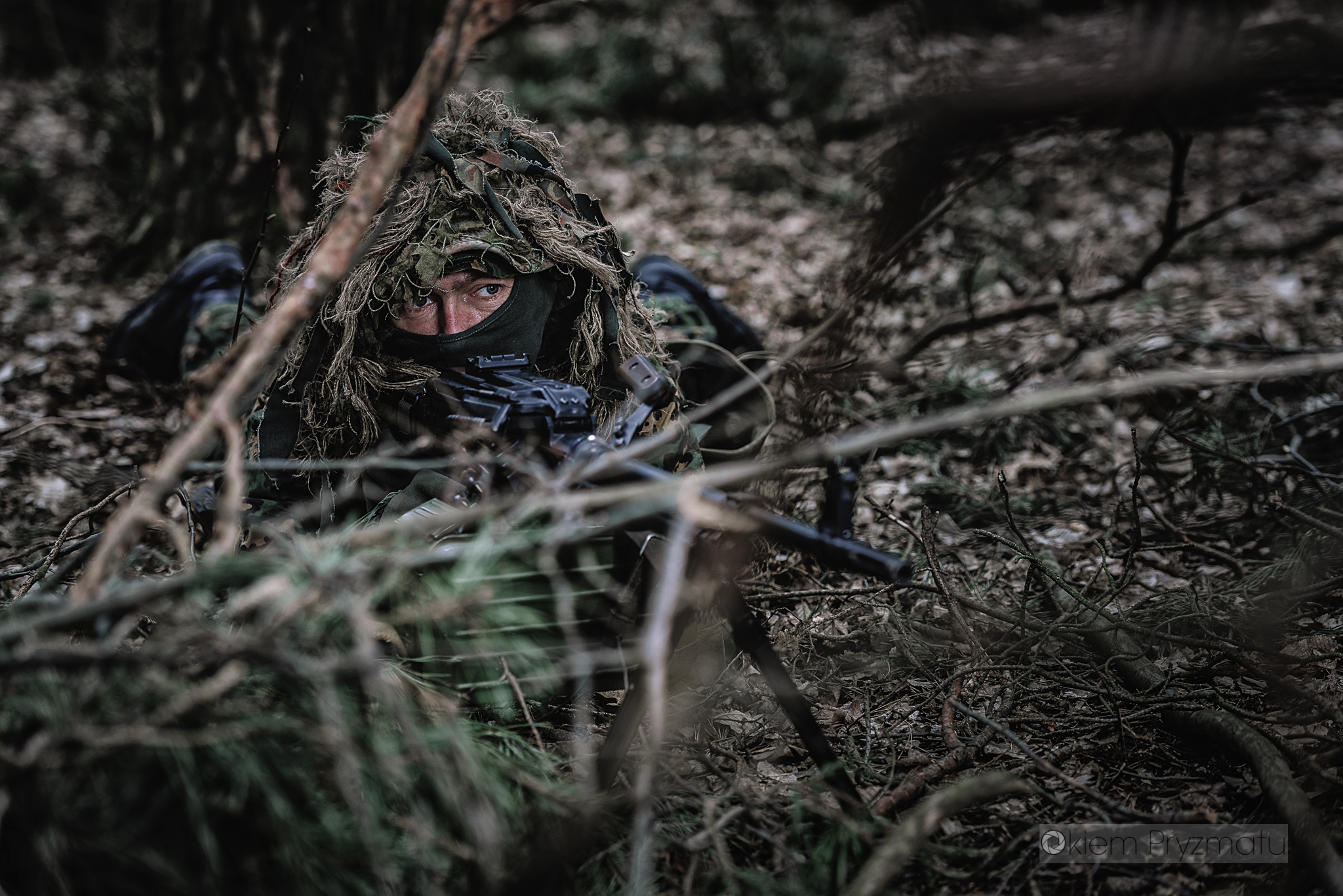 Indywidualne sesje wizerunkowe - Żubry Gostyń