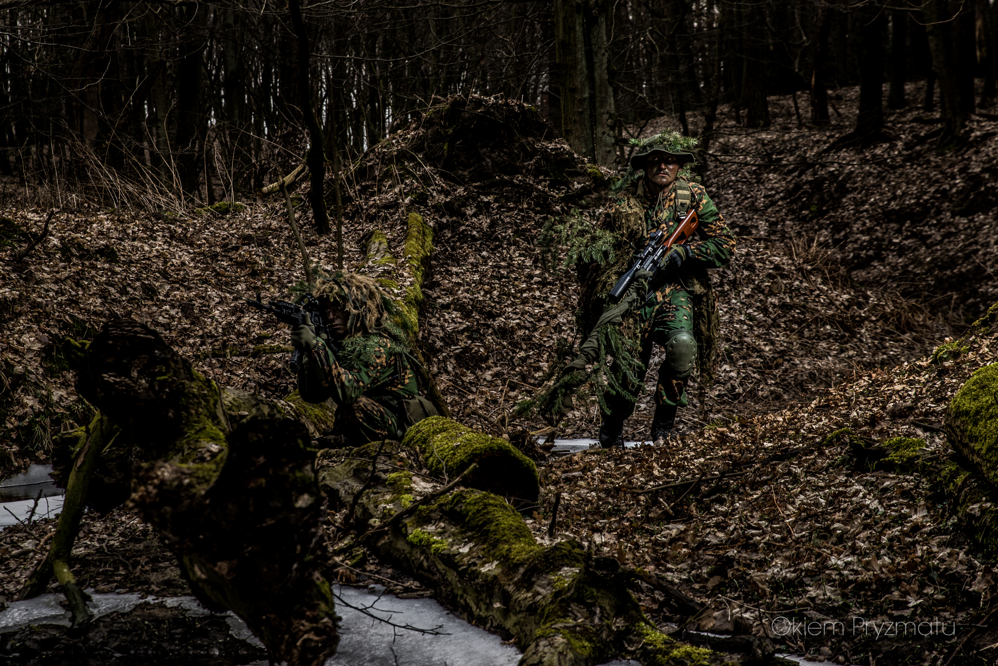 Indywidualne sesje wizerunkowe - Żubry Gostyń