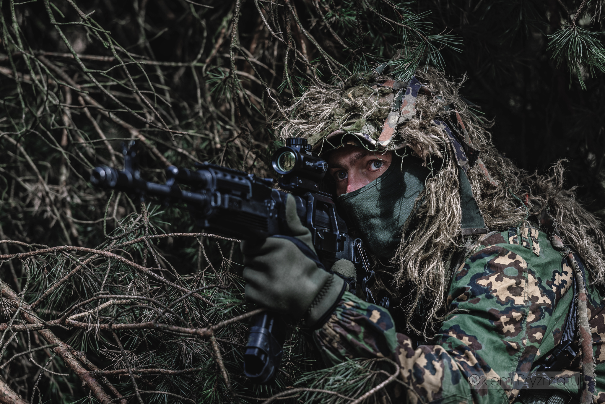 Indywidualne sesje wizerunkowe - Żubry Gostyń