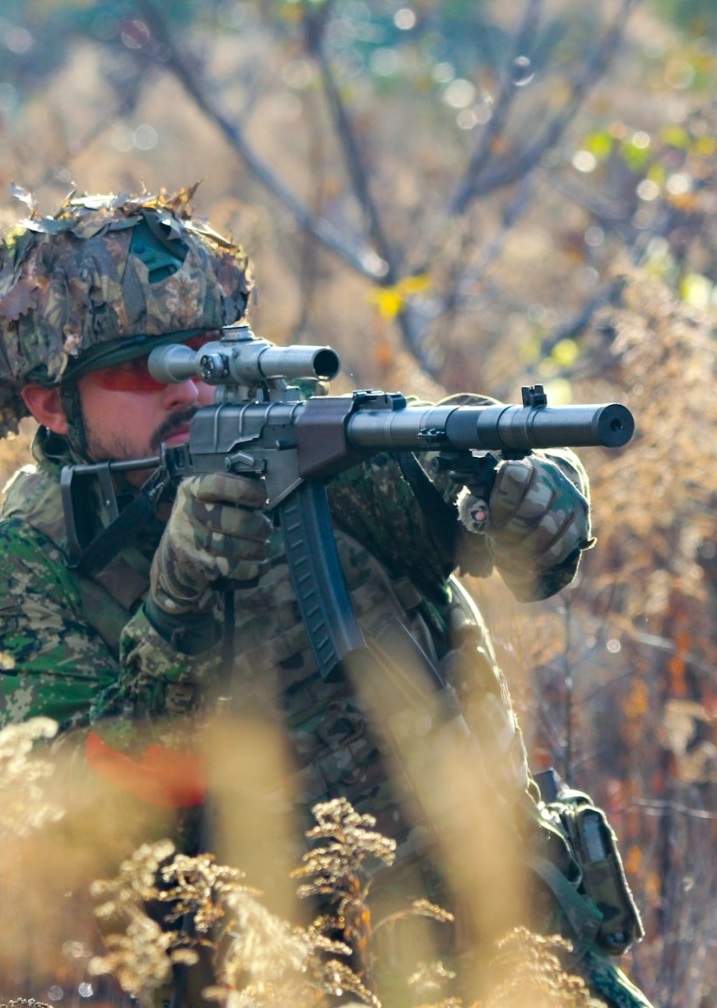 akcesoria AS VAL / VSS LCT