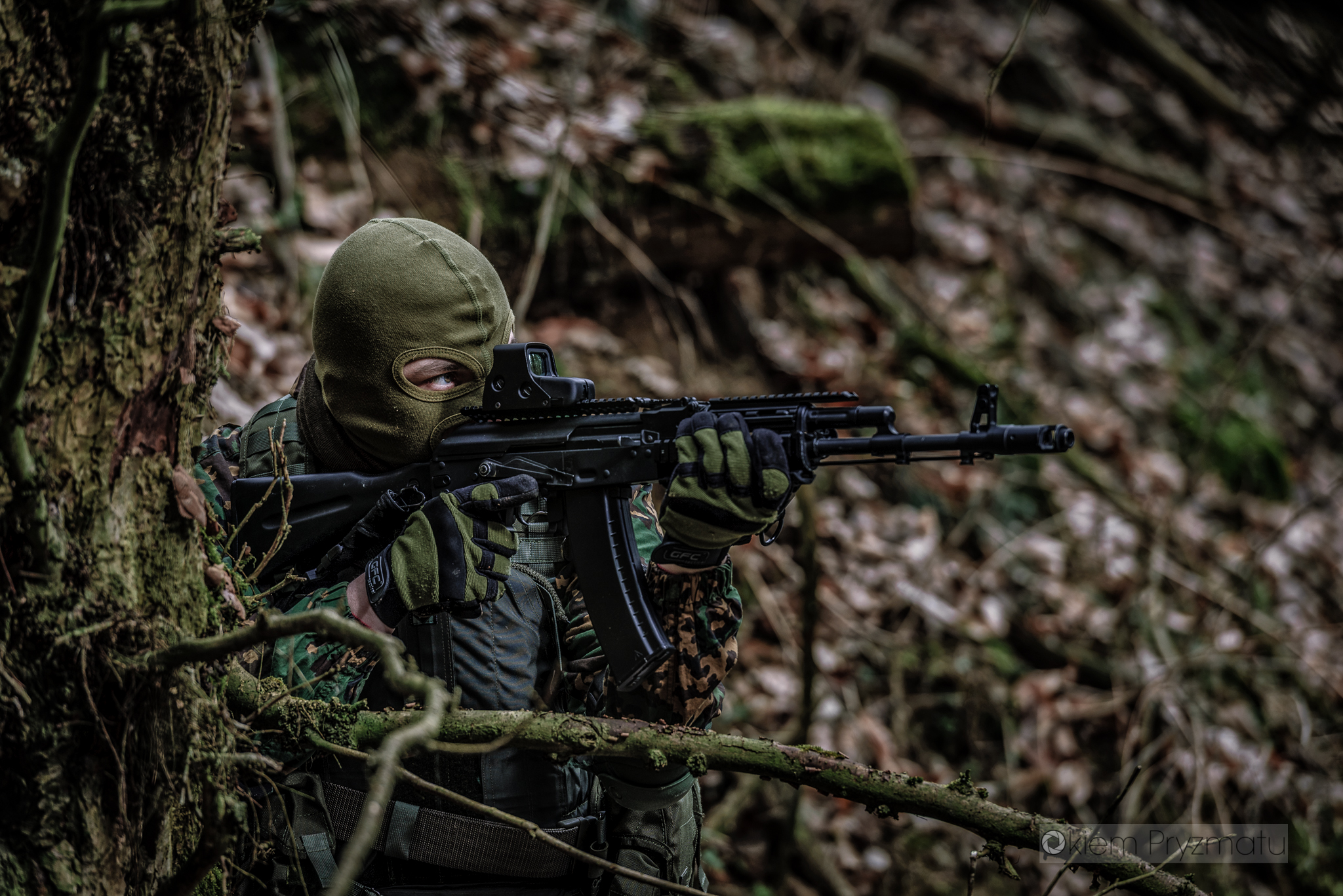 Indywidualne sesje wizerunkowe - Żubry Gostyń