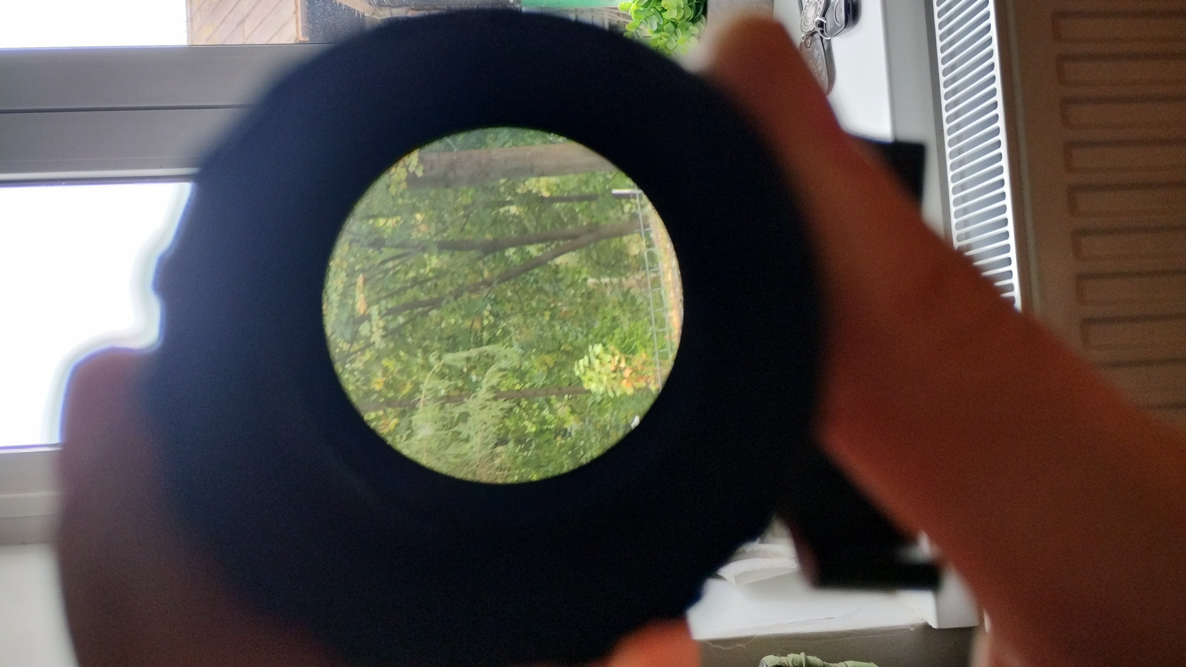 magnifier replika eotech