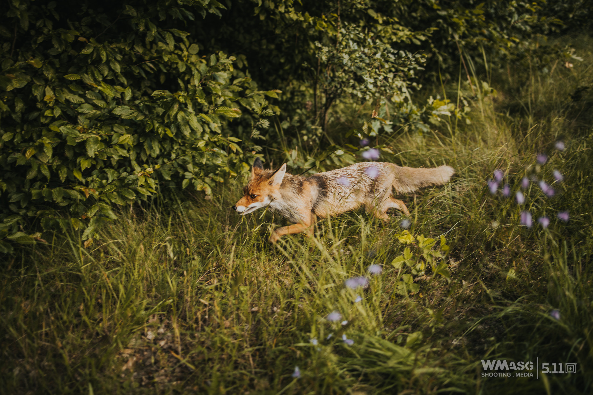 Fotorelacja z zawodów taktyczno-strzeleckich Recon Squad SAR (8-9.06.2024)
