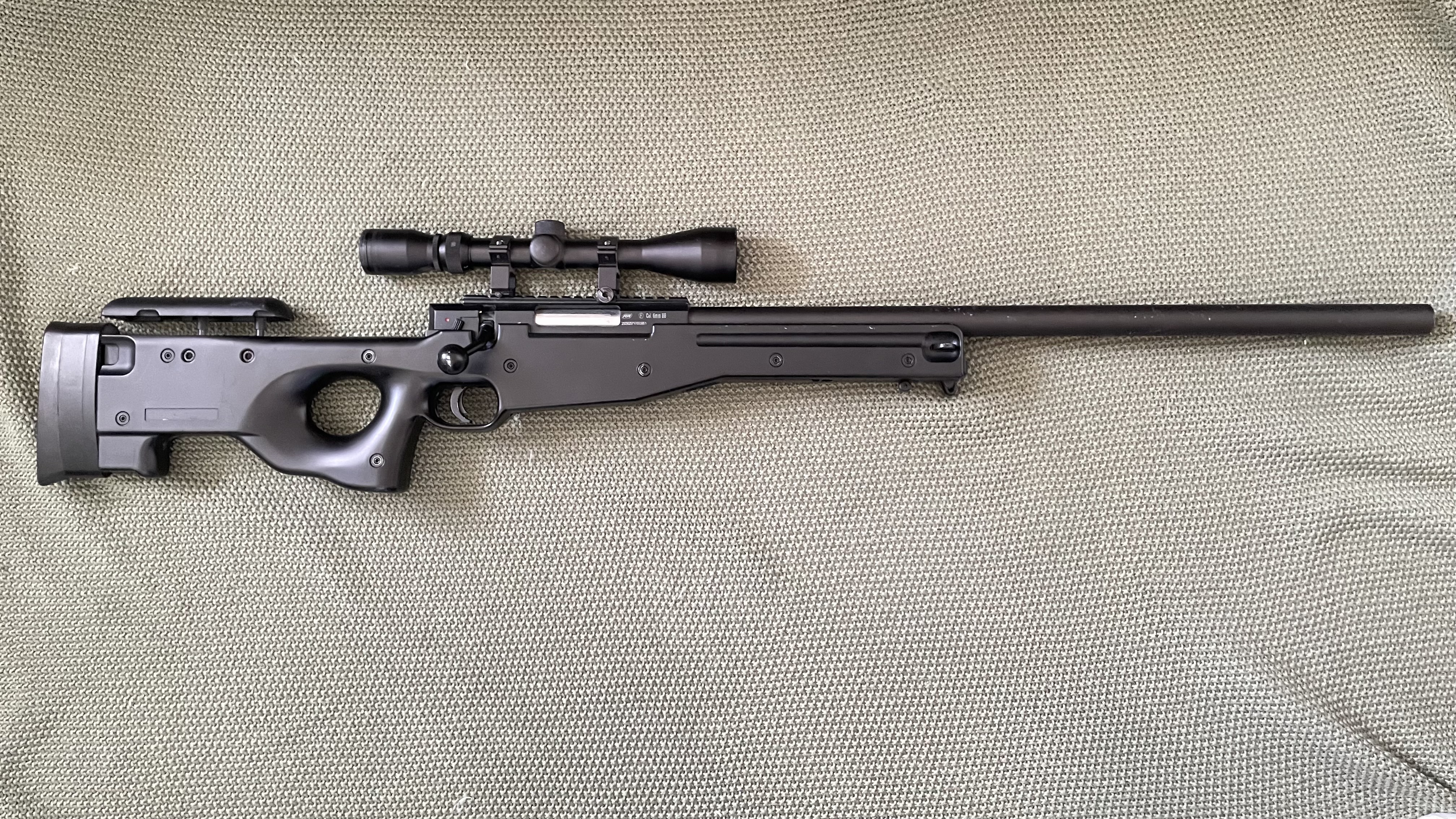 ASG AW308