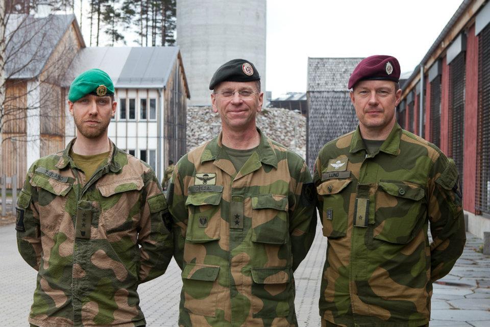 Projekt norweski