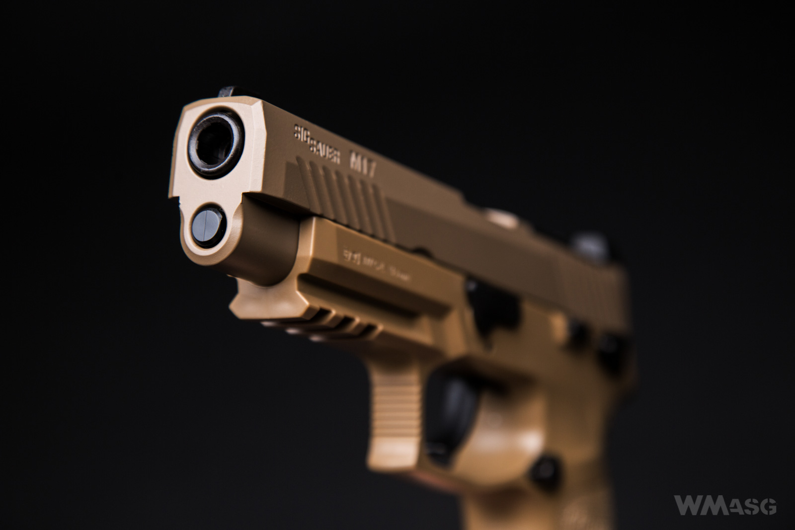 SIG SAUER M17 CO2