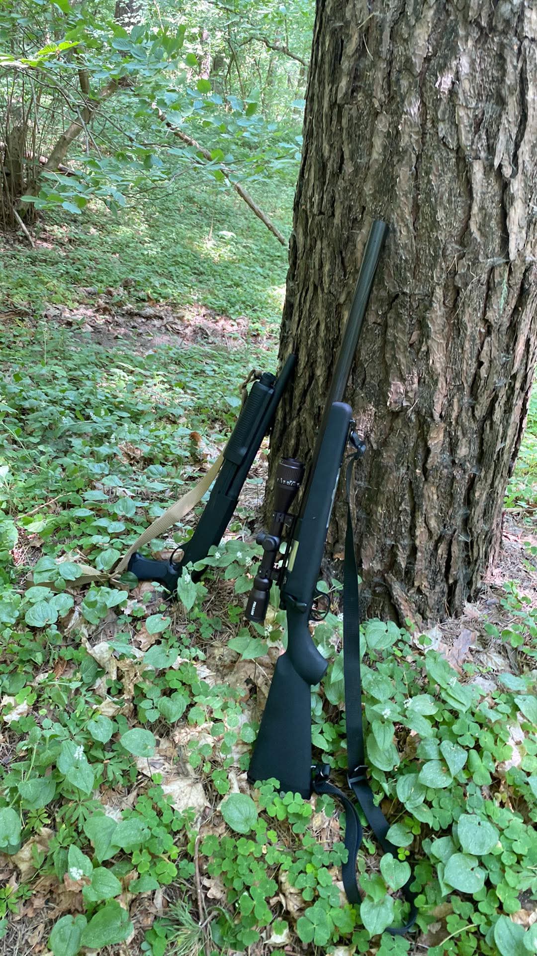 Ssg 10
