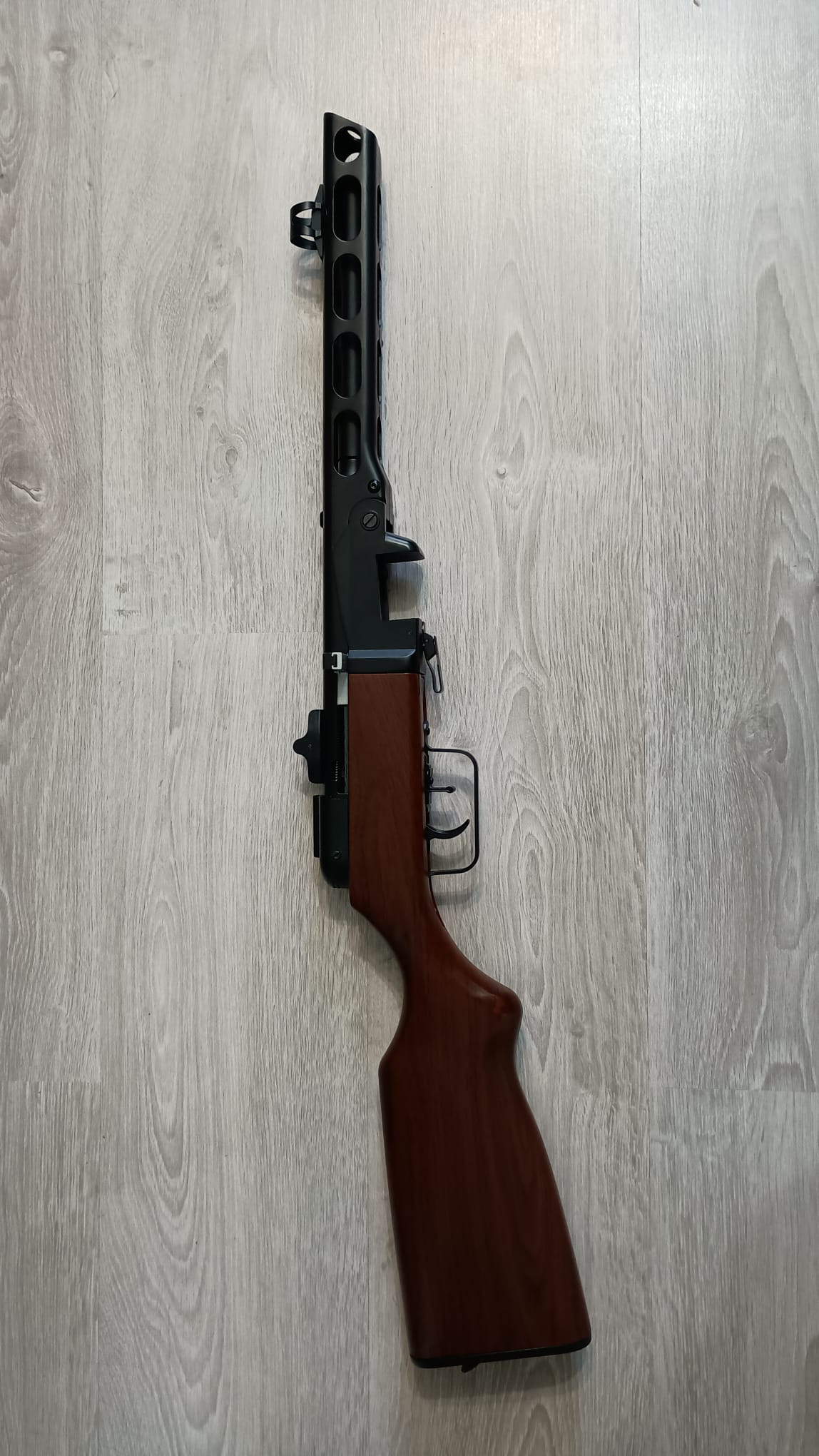 Asg PPSCHA