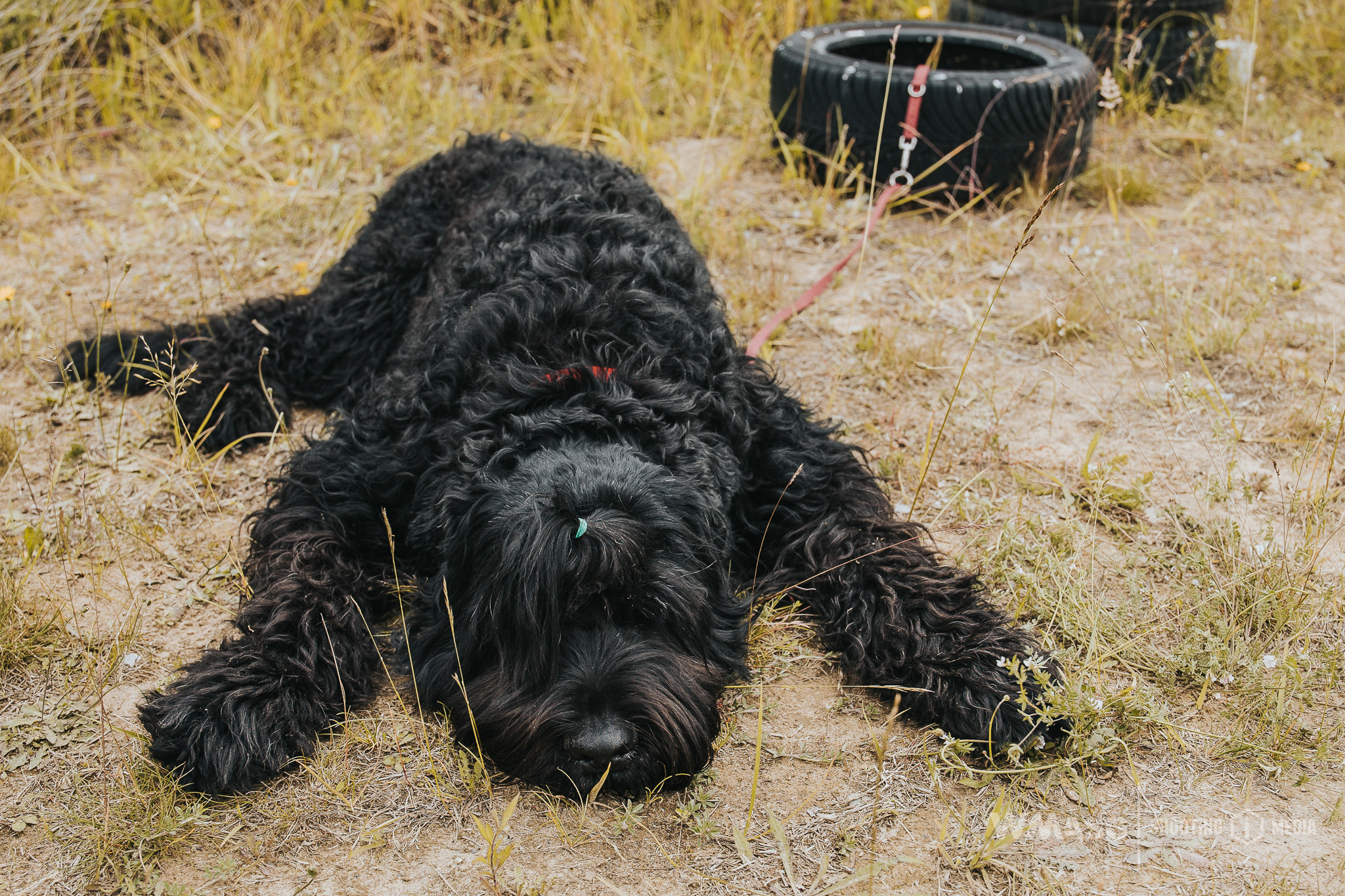 Fotorelacja z zawodów taktyczno-strzeleckich Delta Recon Squad SAR (7-8.06.2025)