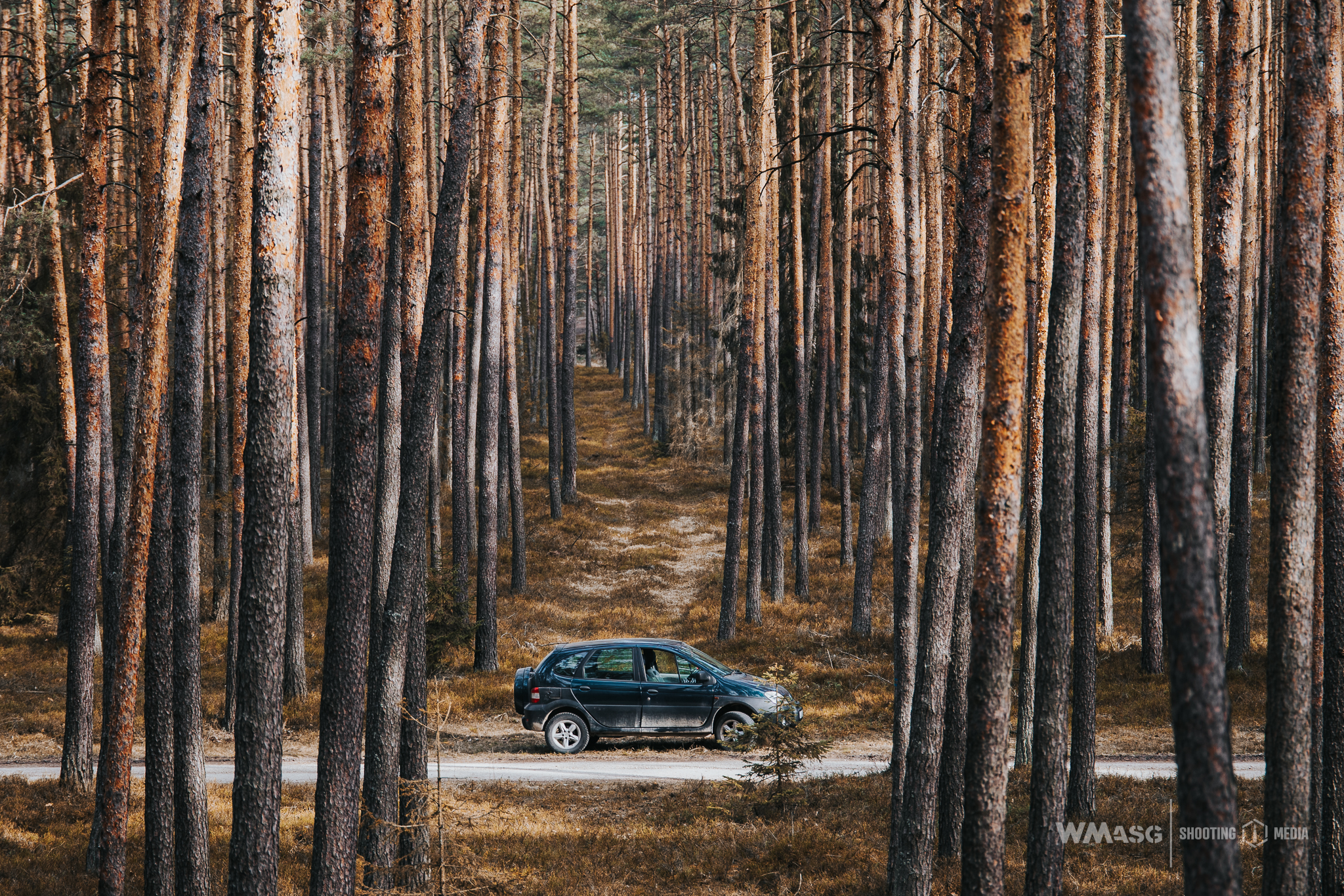 Wyścig Szczurów VI (fotorelacja)