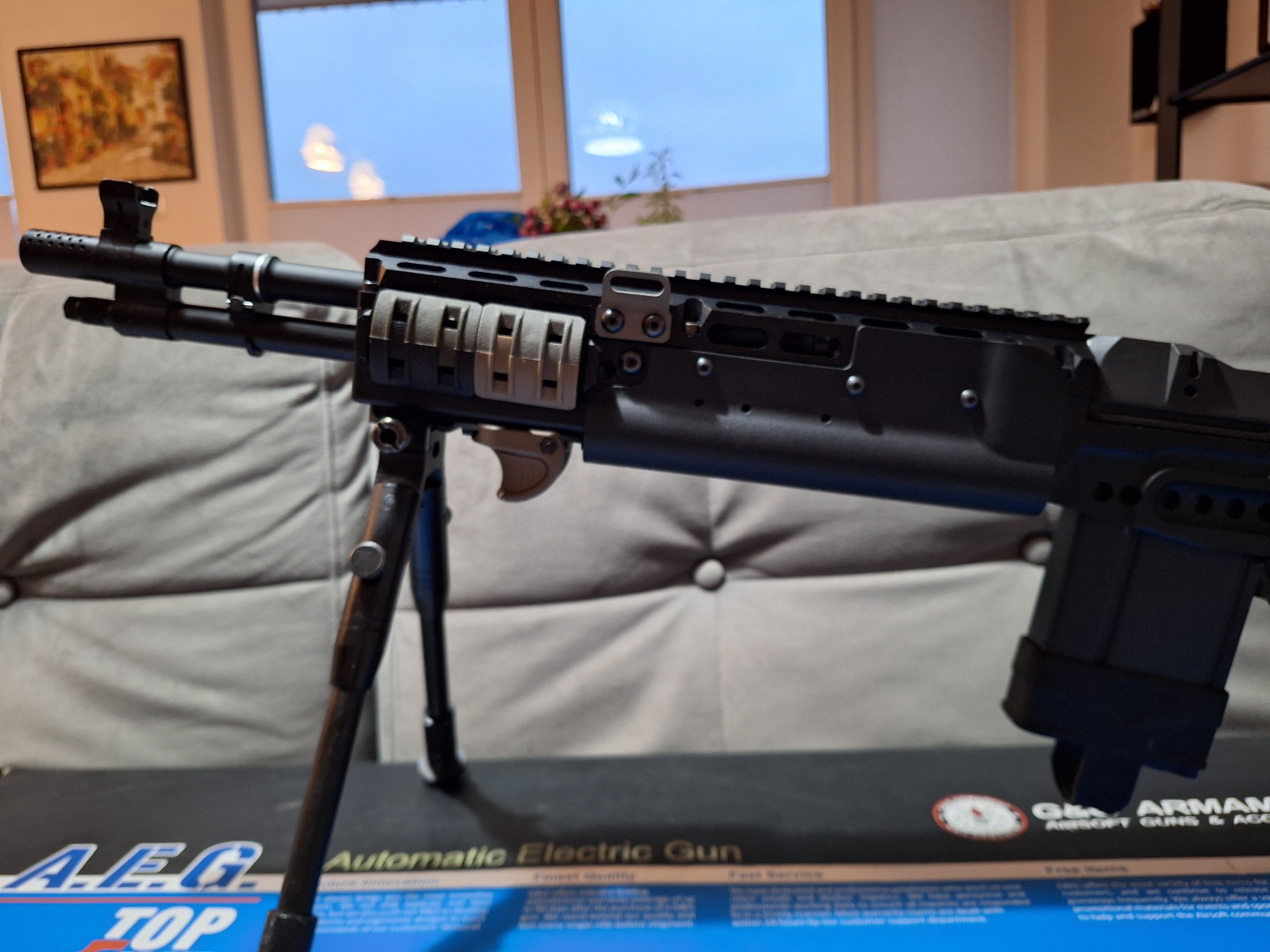 M14 EBR short G&G