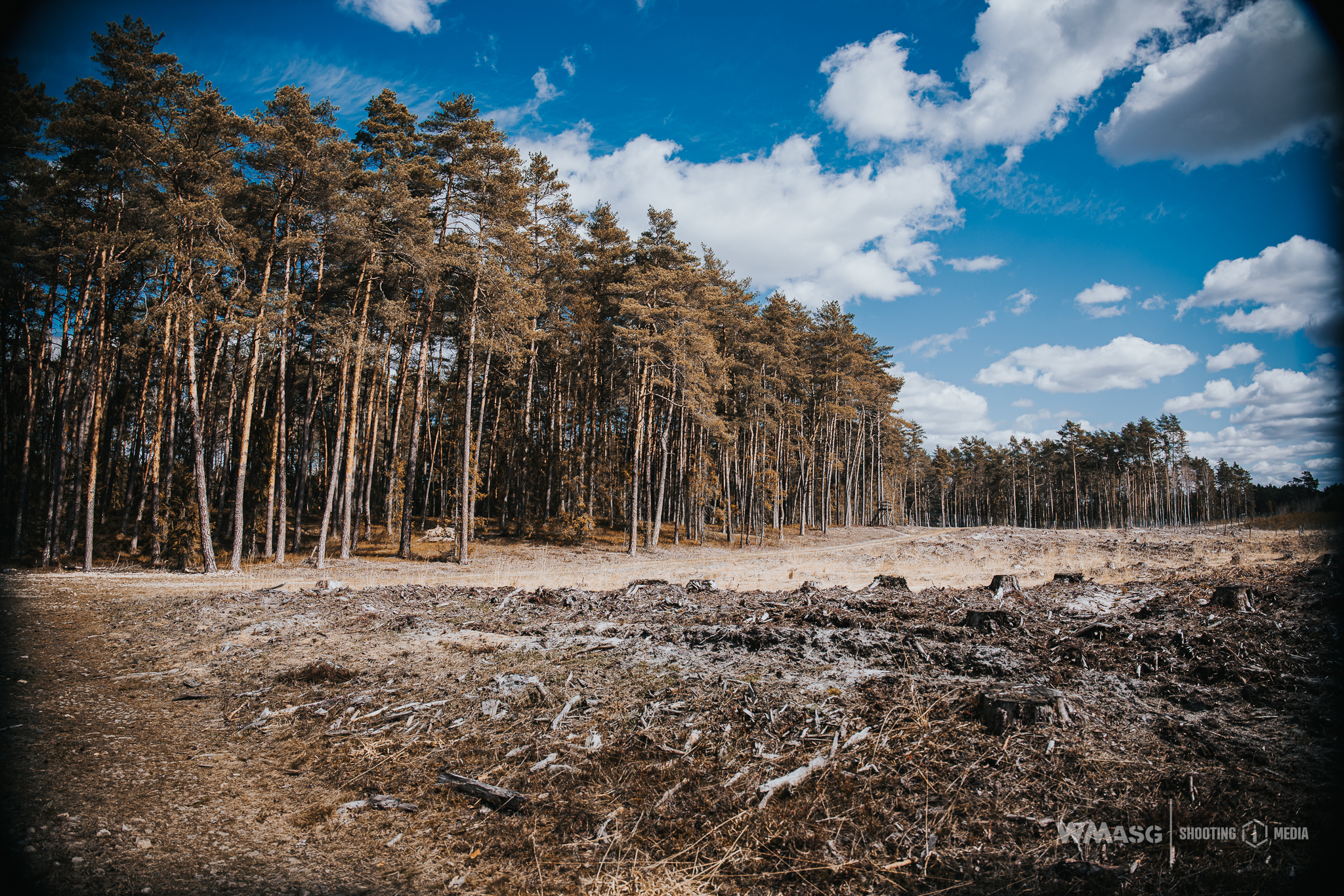 Wyścig Szczurów VI (fotorelacja)