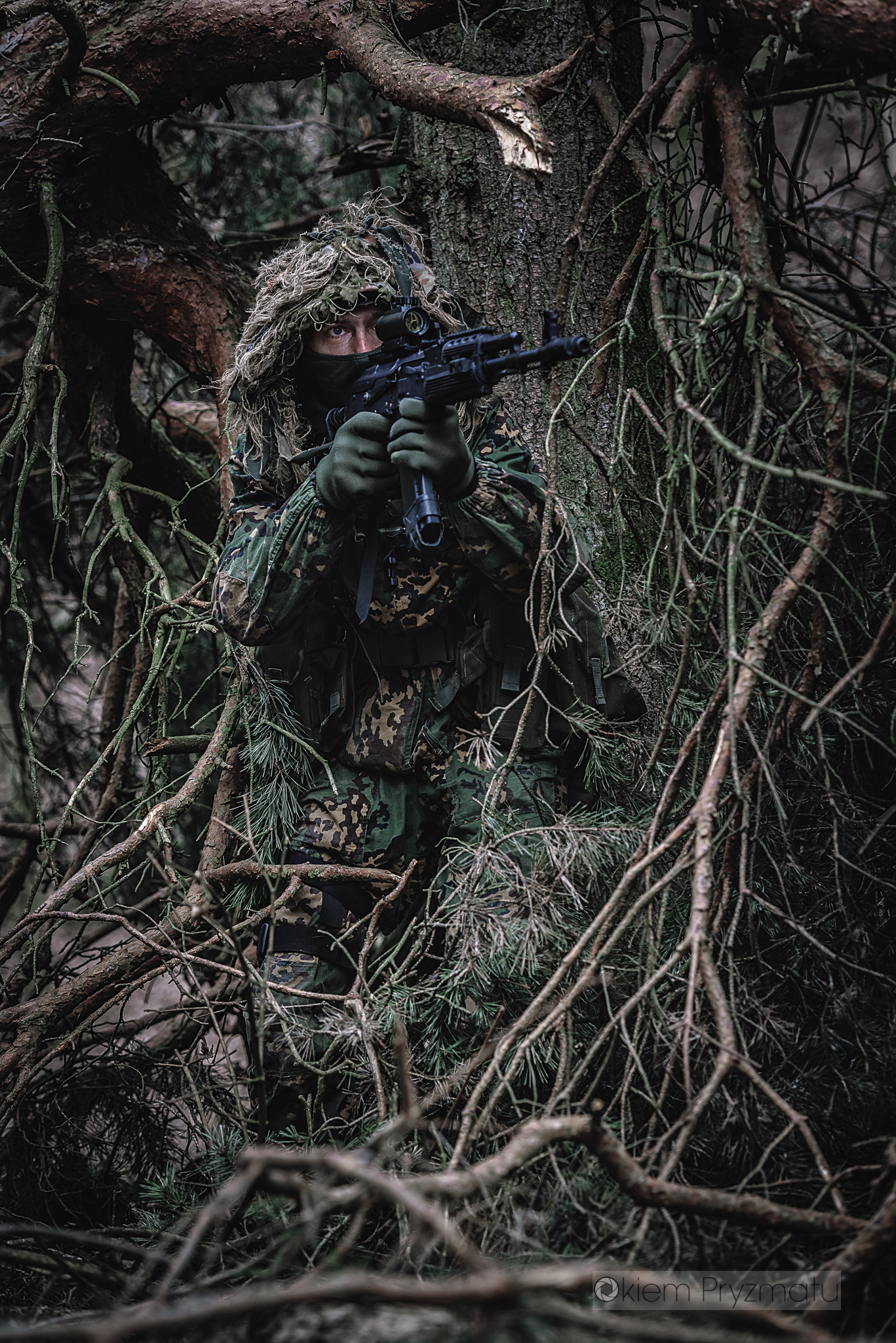 Indywidualne sesje wizerunkowe - Żubry Gostyń