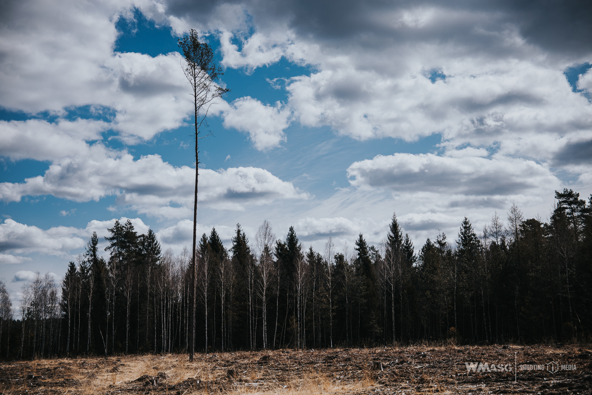 Wyścig Szczurów VI (fotorelacja)