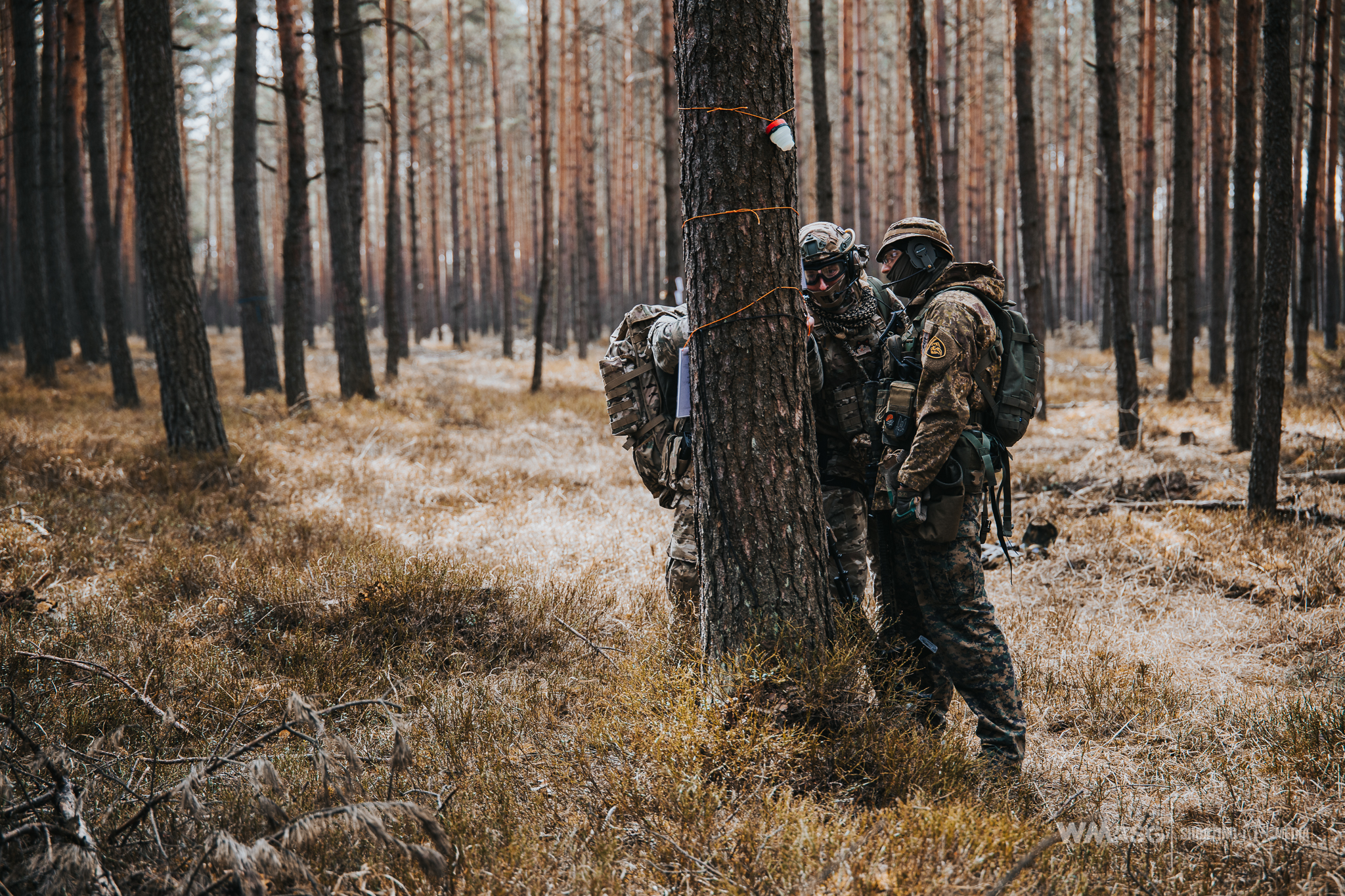 Wyścig Szczurów VI (fotorelacja)