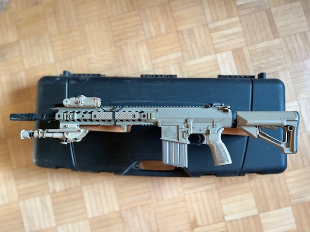 VFC SR25 m110k1 gbur plus magi