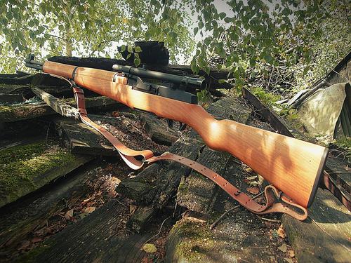 Almost Art - Garand M1 "Sniper"